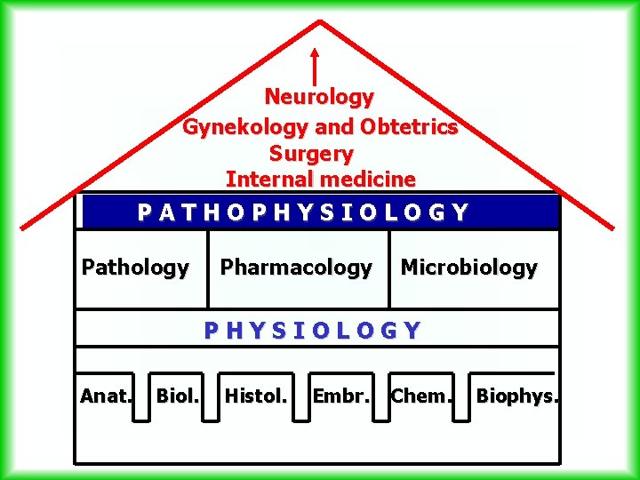 Neurology Gynekology and Obtetrics Surgery Internal medicine PATHOPHYSIOLOGY Pathology Pharmacology Microbiology PHYSIOLOGY Anat. Biol.