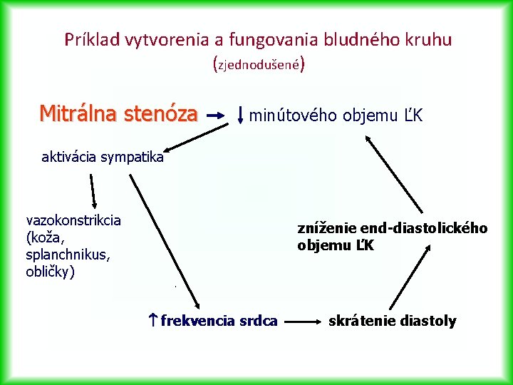 Príklad vytvorenia a fungovania bludného kruhu (zjednodušené) Mitrálna stenóza minútového objemu ĽK aktivácia sympatika