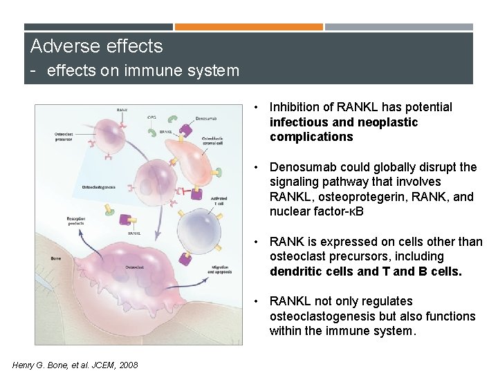 Adverse effects - effects on immune system • Inhibition of RANKL has potential infectious