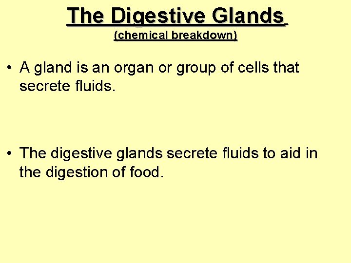 The Digestive Glands (chemical breakdown) • A gland is an organ or group of