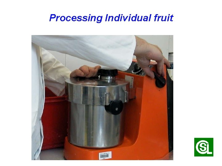 Processing Individual fruit 