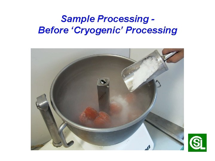 Sample Processing Before ‘Cryogenic’ Processing 