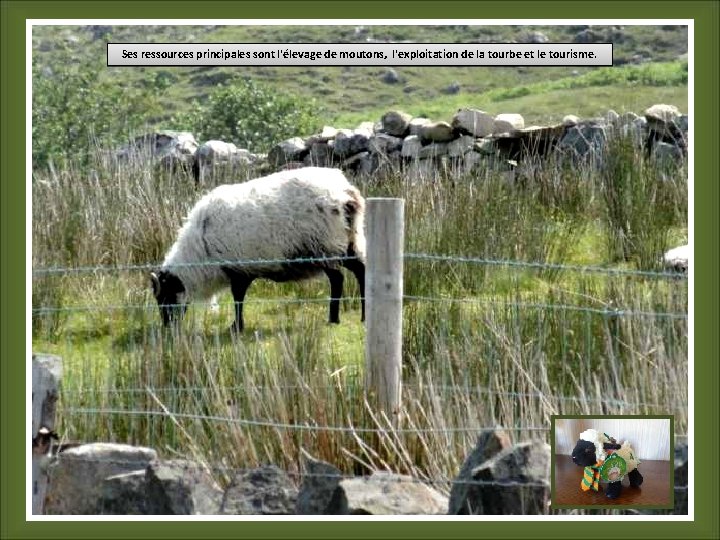 Ses ressources principales sont l'élevage de moutons, l'exploitation de la tourbe et le tourisme.