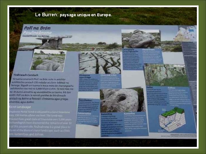 Le Burren: paysage unique en Europe. 