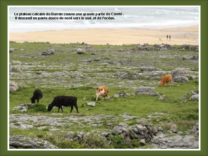 Le plateau calcaire du Burren couvre une grande partie du Comté. Il descend en