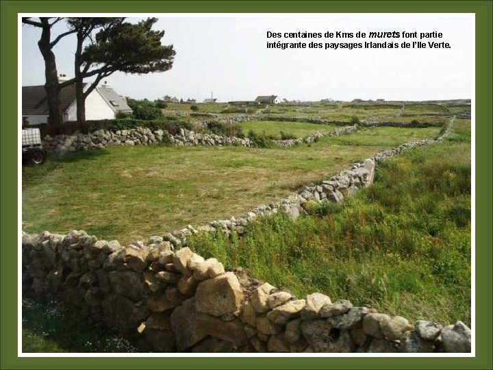 Des centaines de Kms de murets font partie intégrante des paysages Irlandais de l’Ile