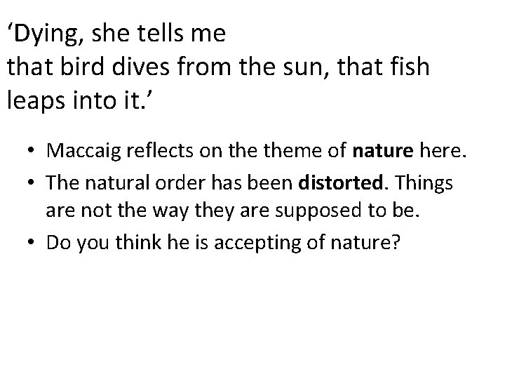 ‘Dying, she tells me that bird dives from the sun, that fish leaps into