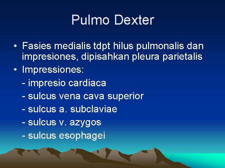 Pulmo Dexter • Fasies medialis tdpt hilus pulmonalis dan impresiones, dipisahkan pleura parietalis •