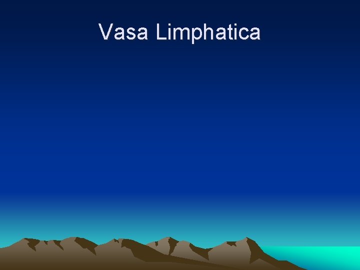 Vasa Limphatica 
