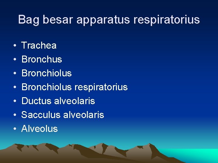 Bag besar apparatus respiratorius • • Trachea Bronchus Bronchiolus respiratorius Ductus alveolaris Sacculus alveolaris