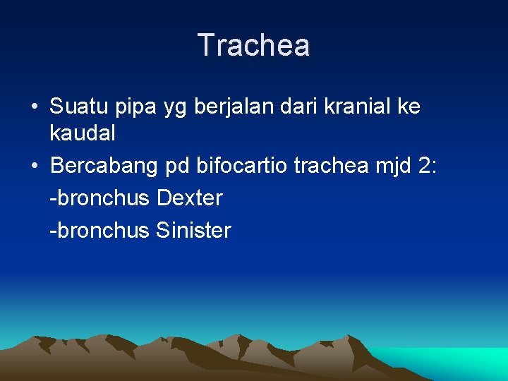 Trachea • Suatu pipa yg berjalan dari kranial ke kaudal • Bercabang pd bifocartio