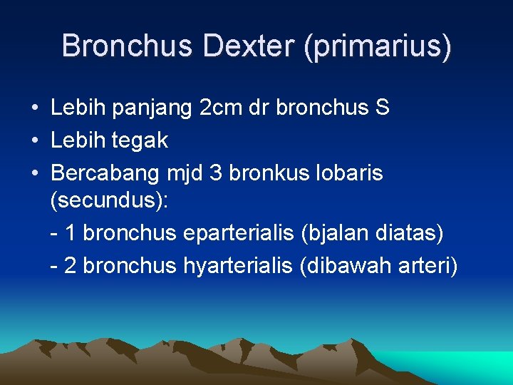 Bronchus Dexter (primarius) • Lebih panjang 2 cm dr bronchus S • Lebih tegak