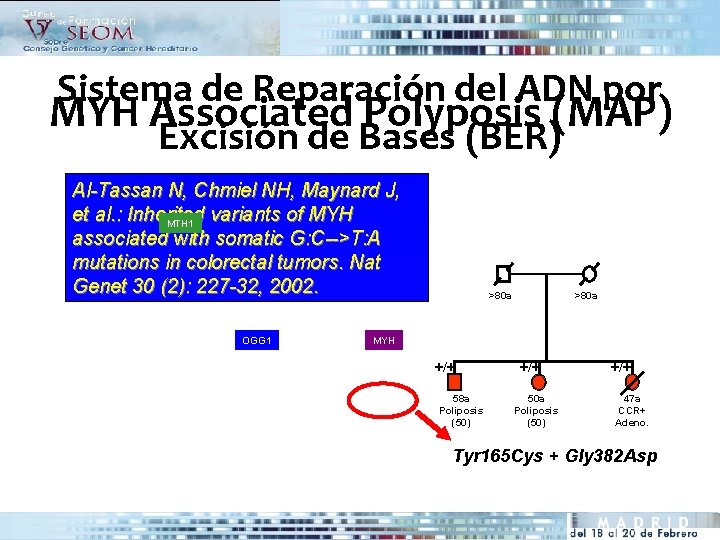 Sistema de Reparación del ADN por MYH Associated Polyposis (MAP) Excisión de Bases (BER)