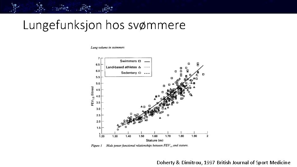 Lungefunksjon hos svømmere Doherty & Dimitrou, 1997 British Journal of Sport Medicine 