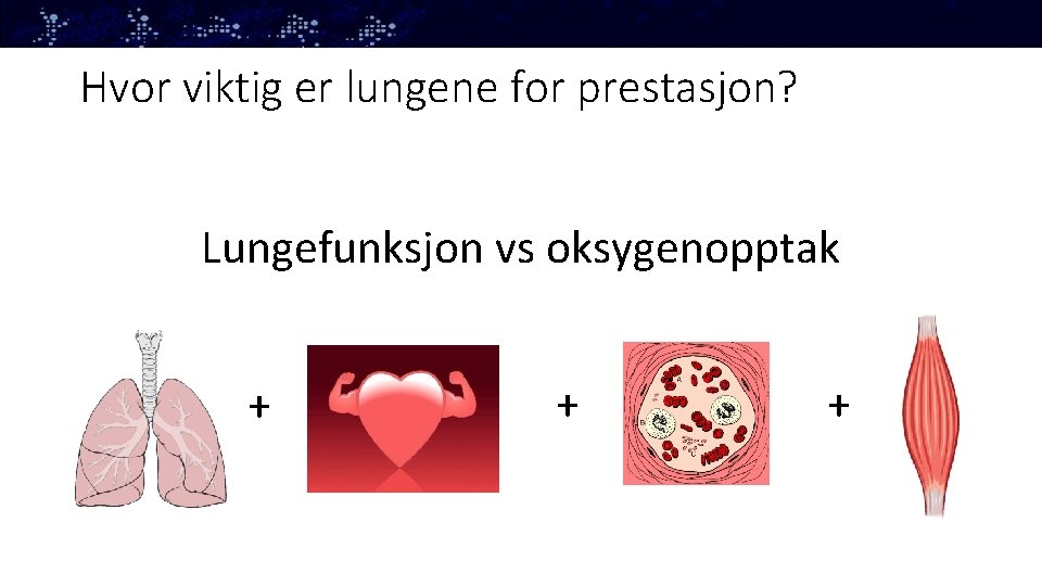 Hvor viktig er lungene for prestasjon? Lungefunksjon vs oksygenopptak + + + 