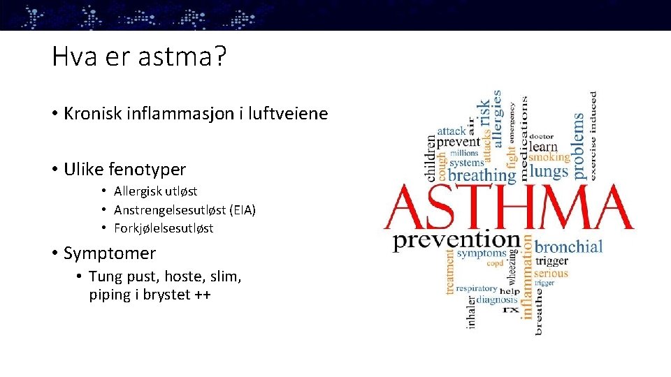 Hva er astma? • Kronisk inflammasjon i luftveiene • Ulike fenotyper • Allergisk utløst