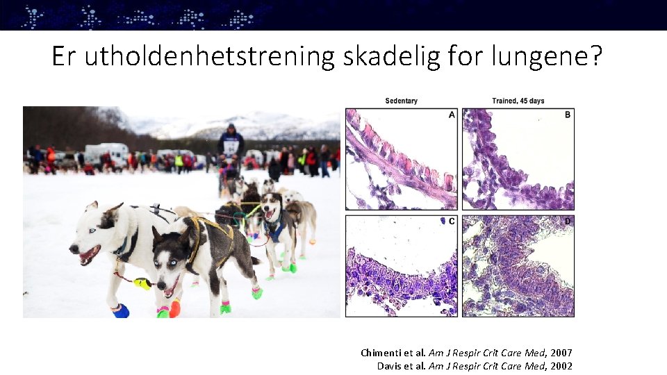 Er utholdenhetstrening skadelig for lungene? Chimenti et al. Am J Respir Crit Care Med,