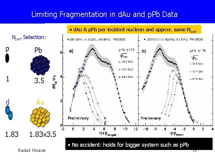 Limiting Fragmentation in d. Au and p. Pb Data • d. Au & p.