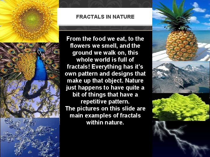 FRACTALS IN NATURE From the food we eat, to the flowers we smell, and FRACTALS IN NATURE From the food we eat, to the flowers we smell, and