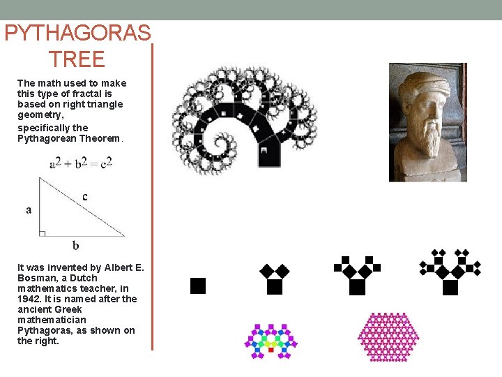 PYTHAGORAS TREE The math used to make this type of fractal is based on PYTHAGORAS TREE The math used to make this type of fractal is based on