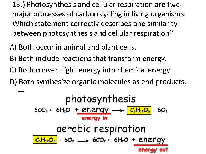 13. ) Photosynthesis and cellular respiration are two major processes of carbon cycling in