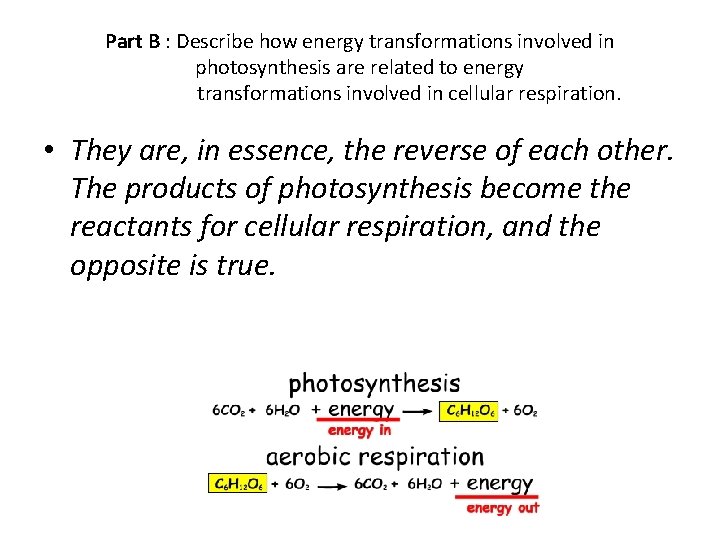 Part B : Describe how energy transformations involved in photosynthesis are related to energy