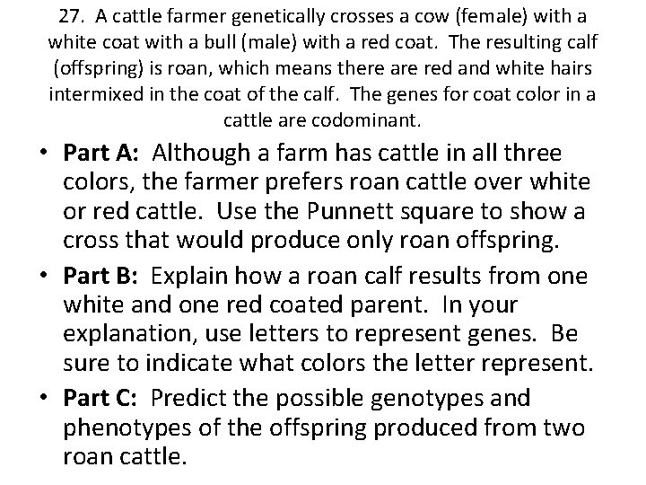 27. A cattle farmer genetically crosses a cow (female) with a white coat with