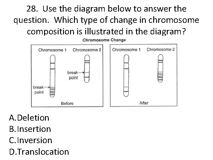 28. Use the diagram below to answer the question. Which type of change in