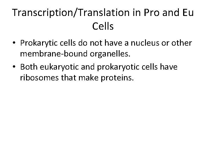 Transcription/Translation in Pro and Eu Cells • Prokarytic cells do not have a nucleus