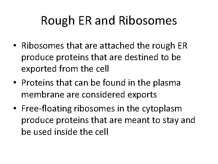 Rough ER and Ribosomes • Ribosomes that are attached the rough ER produce proteins