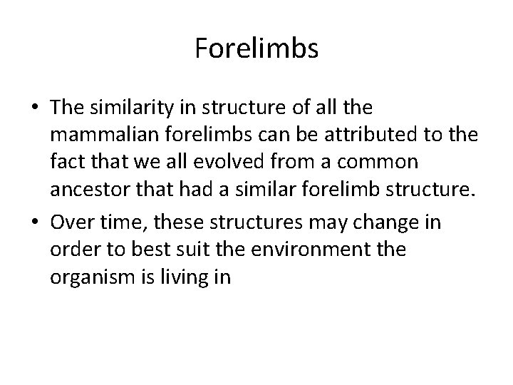 Forelimbs • The similarity in structure of all the mammalian forelimbs can be attributed