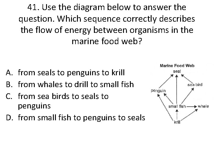 41. Use the diagram below to answer the question. Which sequence correctly describes the