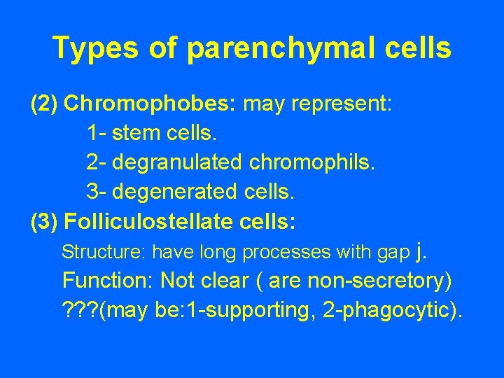 Types of parenchymal cells (2) Chromophobes: may represent: 1 - stem cells. 2 - Types of parenchymal cells (2) Chromophobes: may represent: 1 - stem cells. 2 -