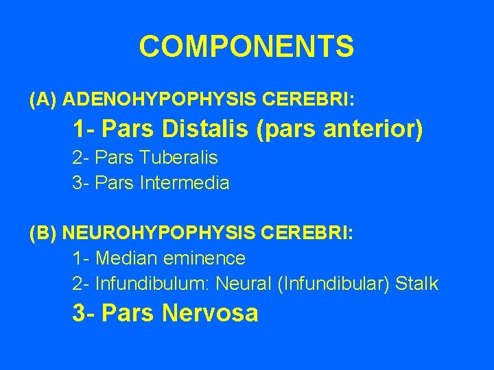 COMPONENTS (A) ADENOHYPOPHYSIS CEREBRI: 1 - Pars Distalis (pars anterior) 2 - Pars Tuberalis COMPONENTS (A) ADENOHYPOPHYSIS CEREBRI: 1 - Pars Distalis (pars anterior) 2 - Pars Tuberalis