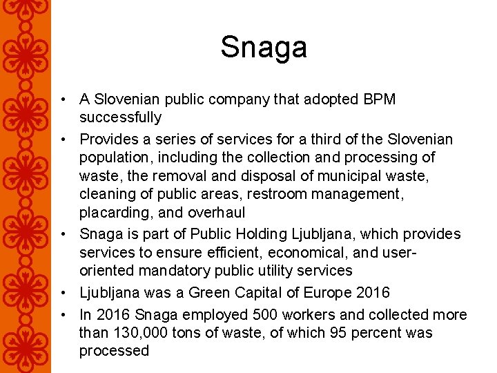 Snaga • A Slovenian public company that adopted BPM successfully • Provides a series