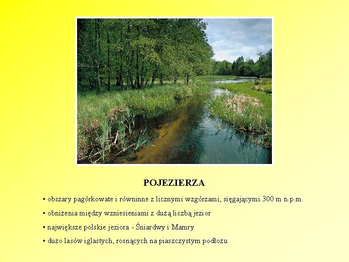 POJEZIERZA • obszary pagórkowate i równinne z licznymi wzgórzami, sięgającymi 300 m n. p.