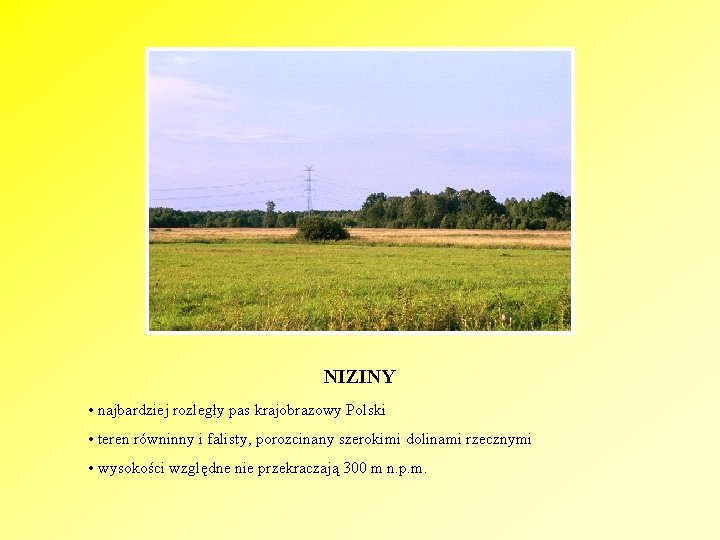 NIZINY • najbardziej rozległy pas krajobrazowy Polski • teren równinny i falisty, porozcinany szerokimi