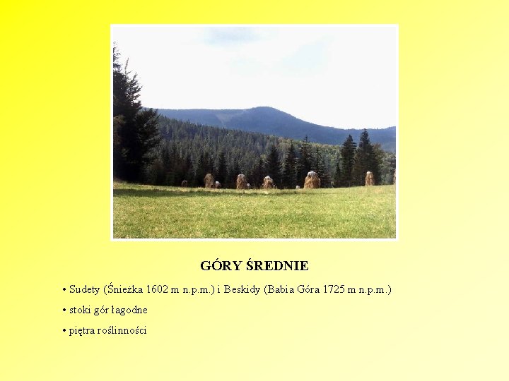 GÓRY ŚREDNIE • Sudety (Śnieżka 1602 m n. p. m. ) i Beskidy (Babia