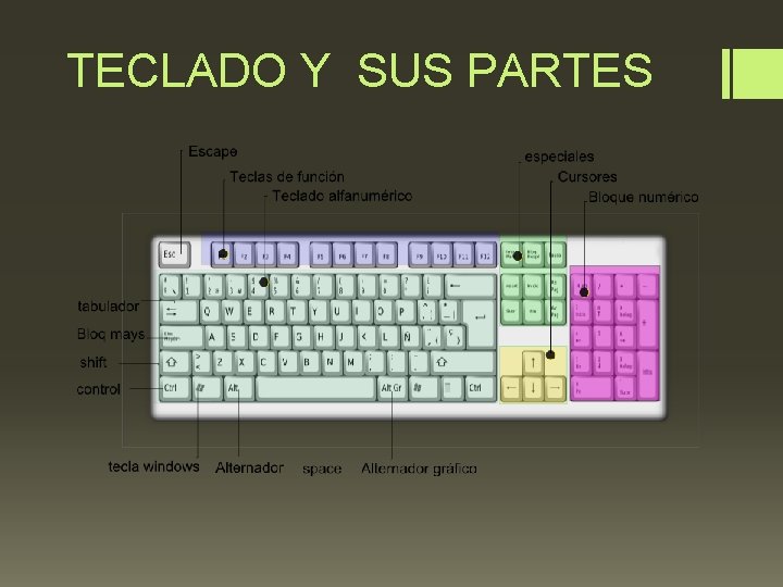 TECLADO Y SUS PARTES 