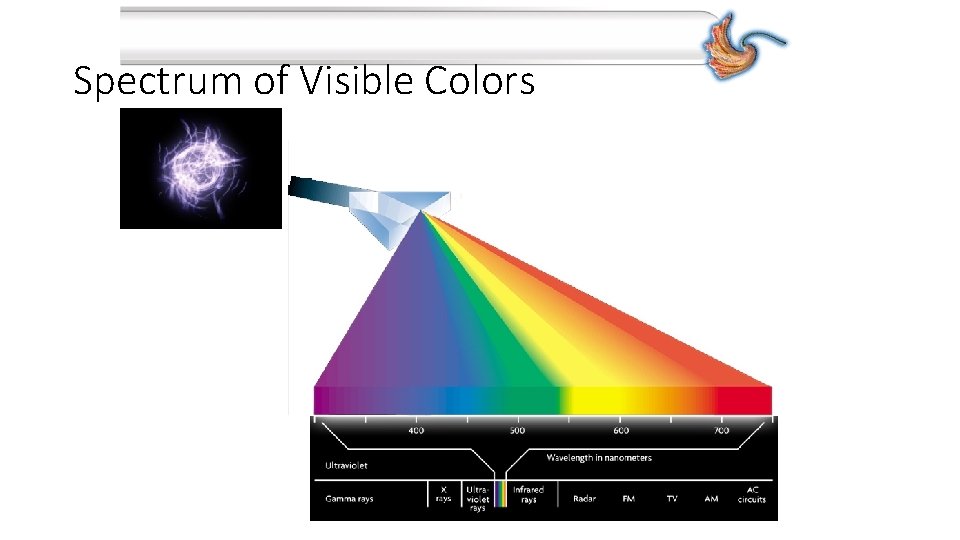 Spectrum of Visible Colors 