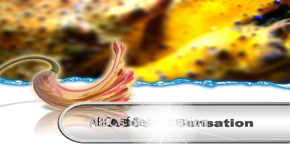 ABCs Sensation ABCsofof Sensation 