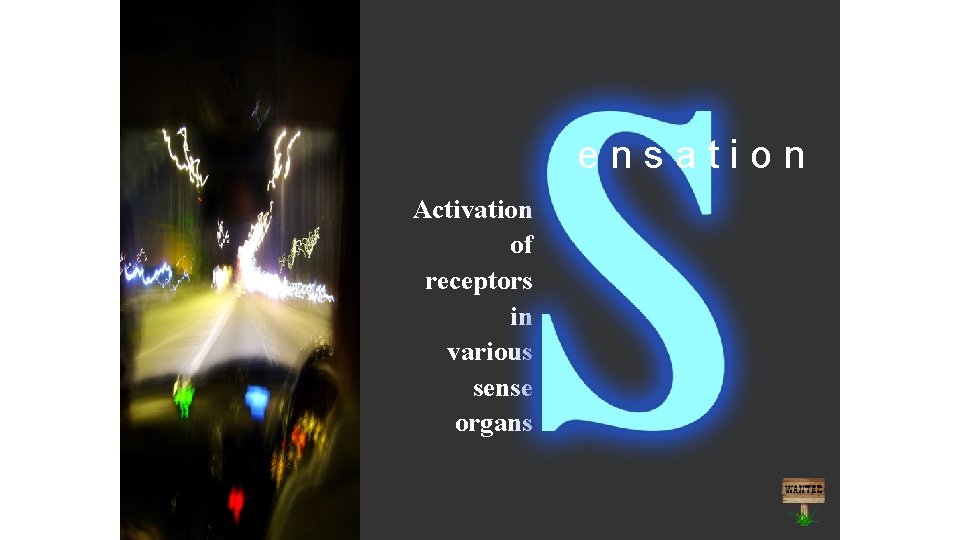ensation Activation of receptors in various sense organs 
