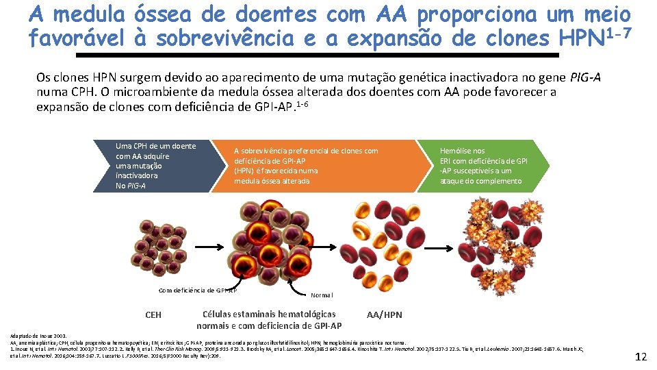 A medula óssea de doentes com AA proporciona um meio favorável à sobrevivência e