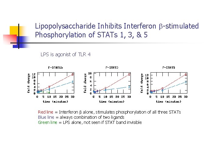 Lipopolysaccharide Inhibits Interferon -stimulated Phosphorylation of STATs 1, 3, & 5 LPS is agonist