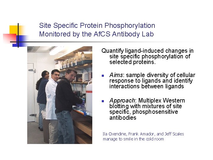 Site Specific Protein Phosphorylation Monitored by the Af. CS Antibody Lab Quantify ligand-induced changes