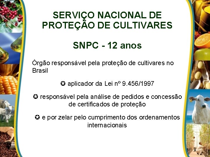 SERVIÇO NACIONAL DE PROTEÇÃO DE CULTIVARES SNPC - 12 anos Órgão responsável pela proteção