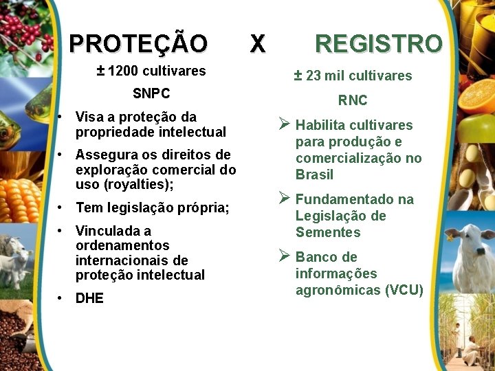PROTEÇÃO X REGISTRO ± 1200 cultivares ± 23 mil cultivares SNPC RNC • Visa