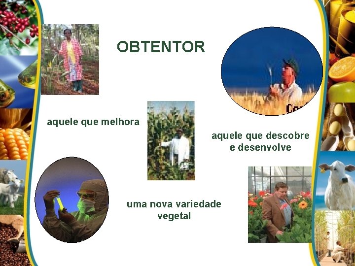 OBTENTOR aquele que melhora aquele que descobre e desenvolve uma nova variedade vegetal 
