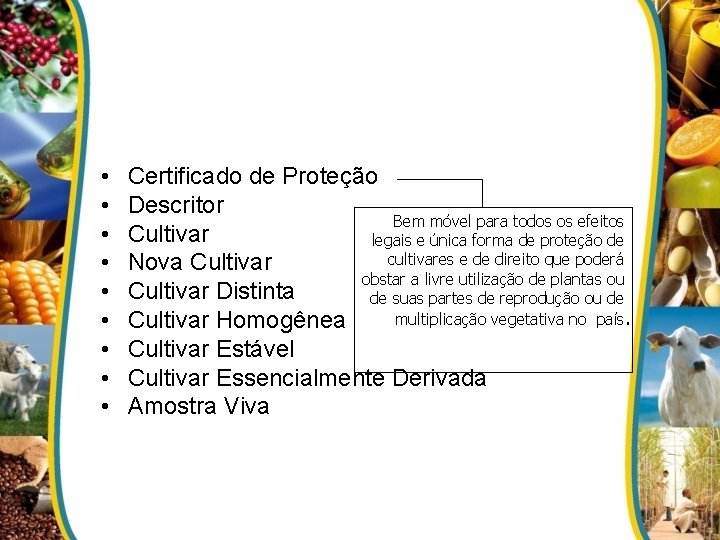  • • • Certificado de Proteção Descritor Bem móvel para todos os efeitos