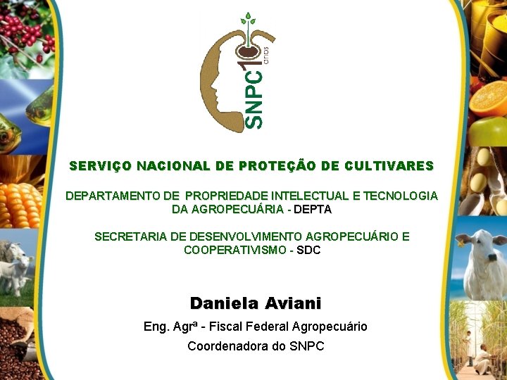 SERVIÇO NACIONAL DE PROTEÇÃO DE CULTIVARES DEPARTAMENTO DE PROPRIEDADE INTELECTUAL E TECNOLOGIA DA AGROPECUÁRIA